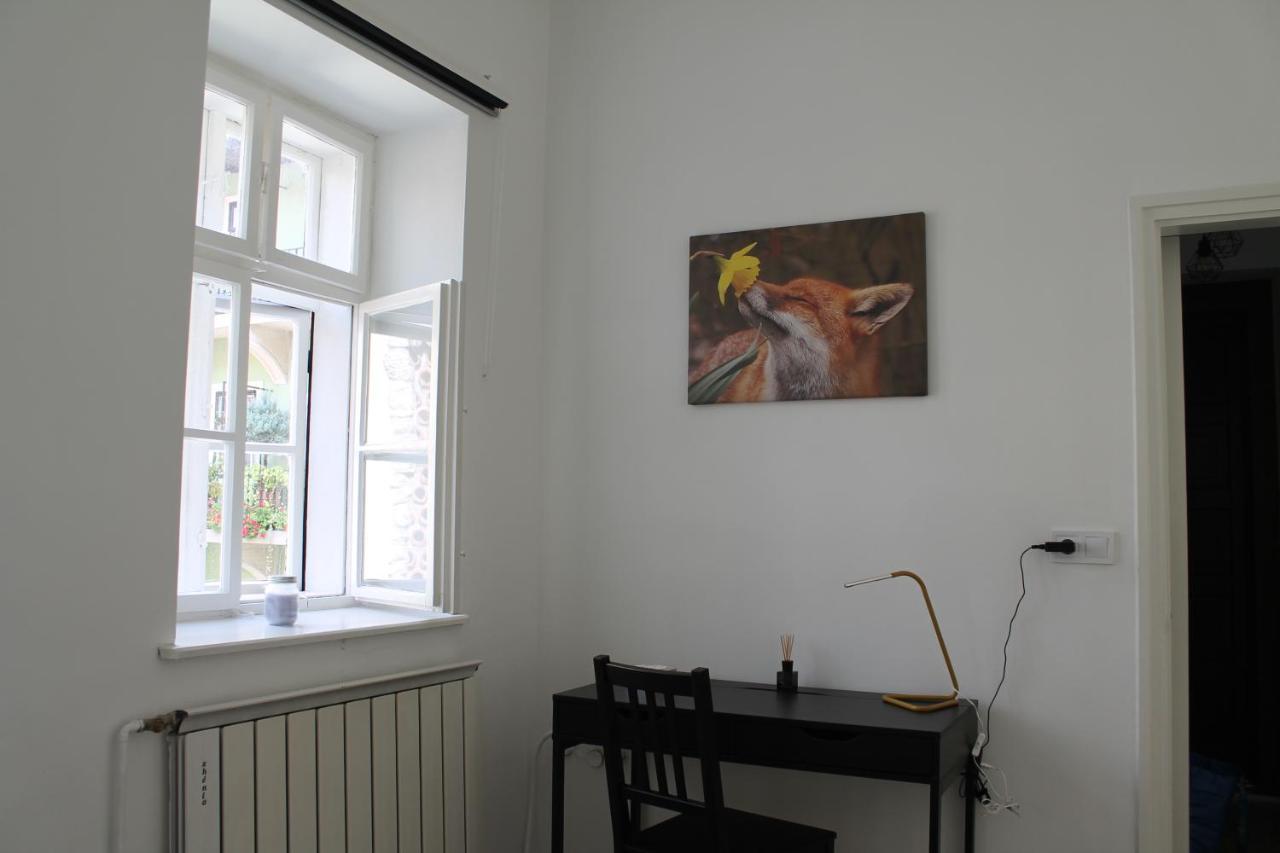 Zwinger Apartman 쇼프론 외부 사진